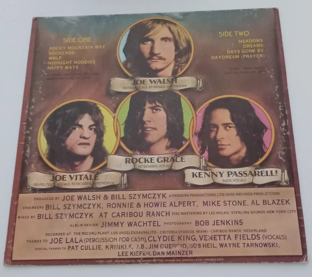 Joe Walsh, The Smoker You Drink, The Player You Get Image 1++
